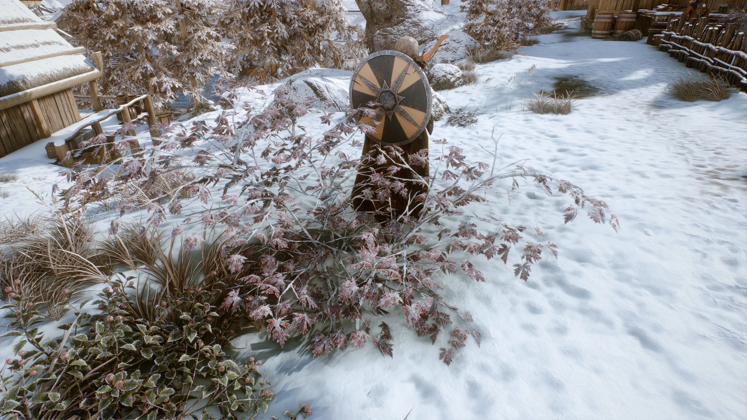 Nature of the Wild Lands - Vanilla Maple Path mod for The Elder Scrolls V: Skyrim Special Edition