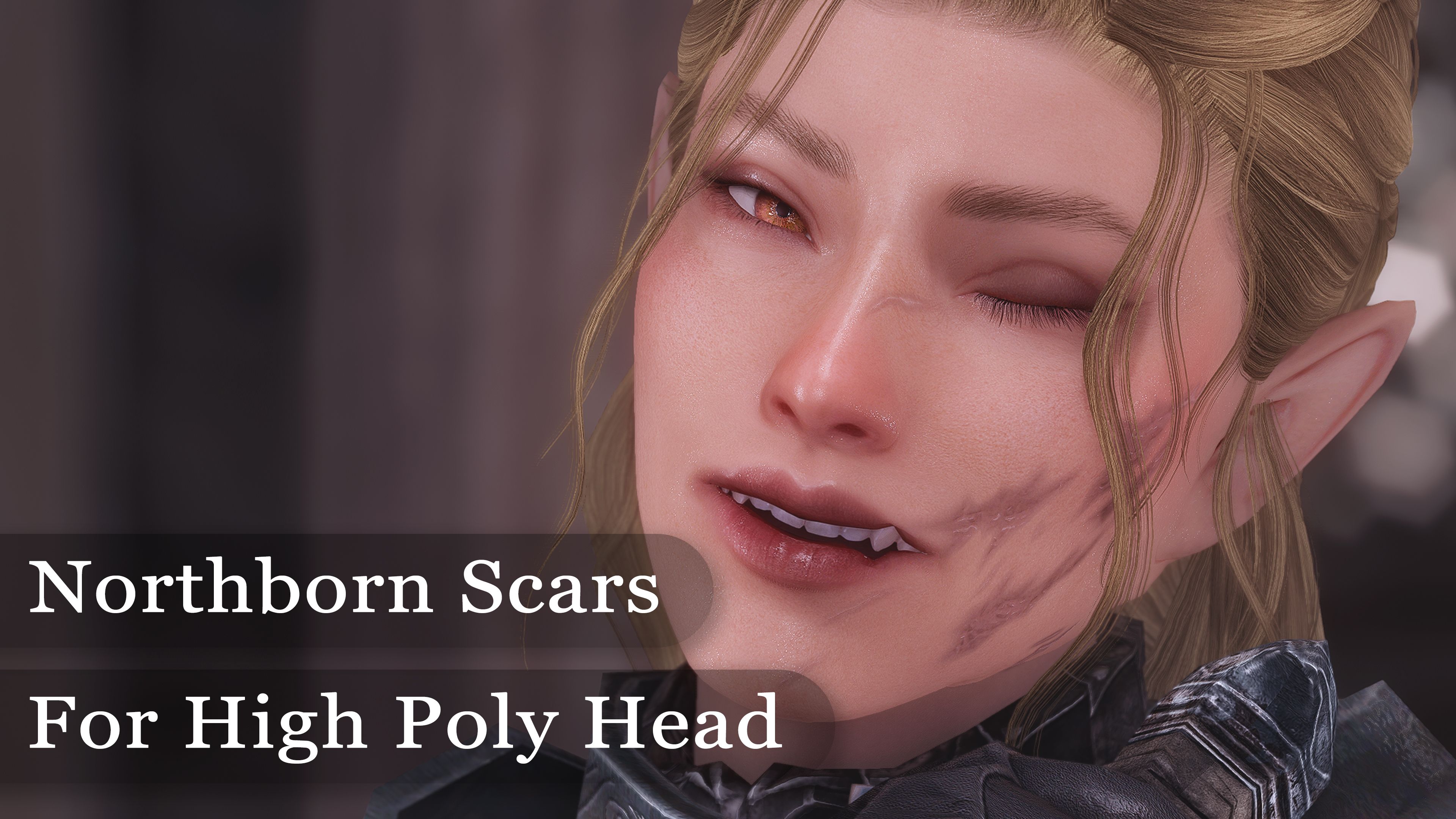 Northborn Scars for High Poly Head mod for The Elder Scrolls V: Skyrim Special Edition