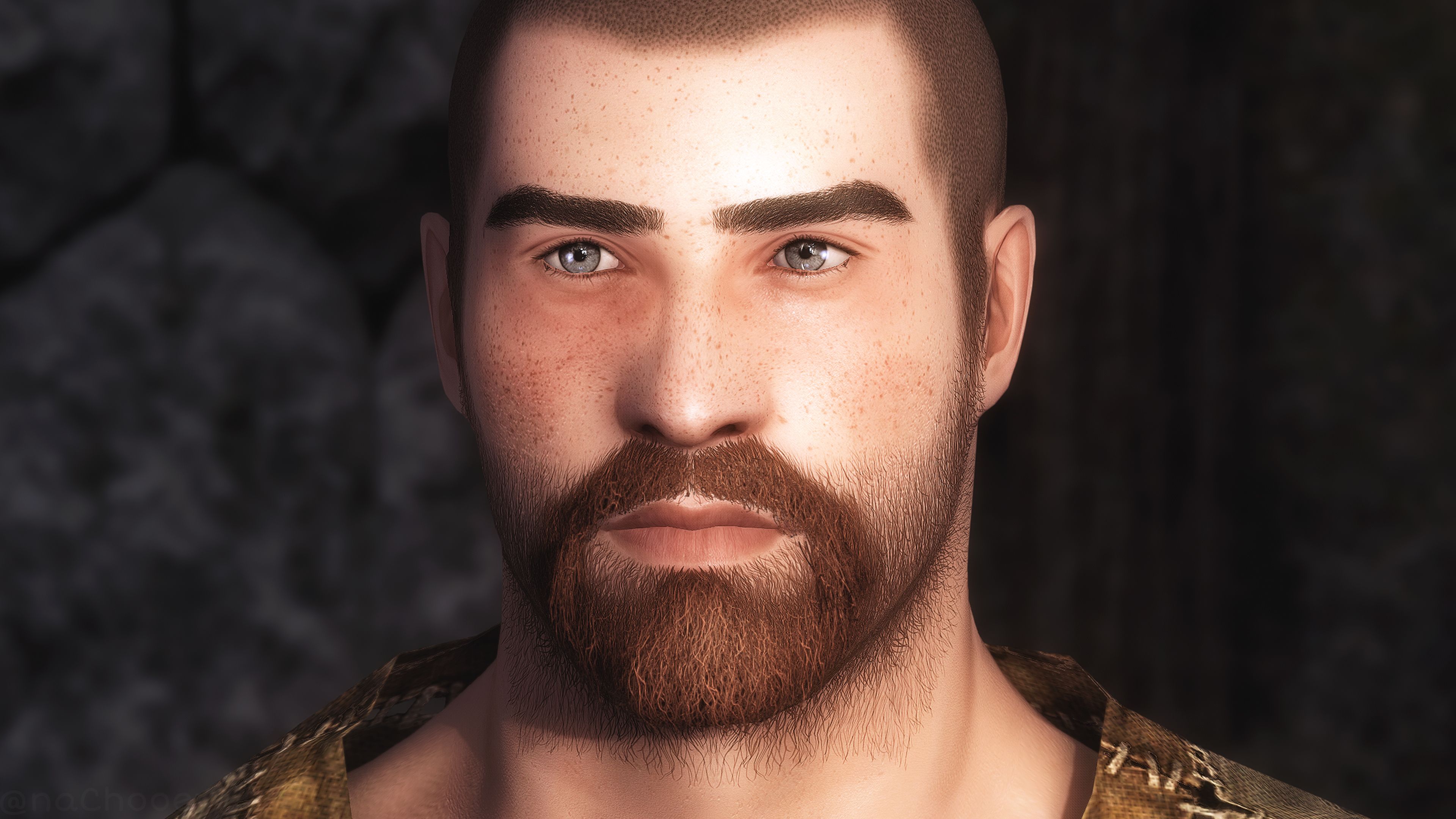 The Art of Beard for High Poly Head (and fix) mod for The Elder Scrolls V: Skyrim Special Edition