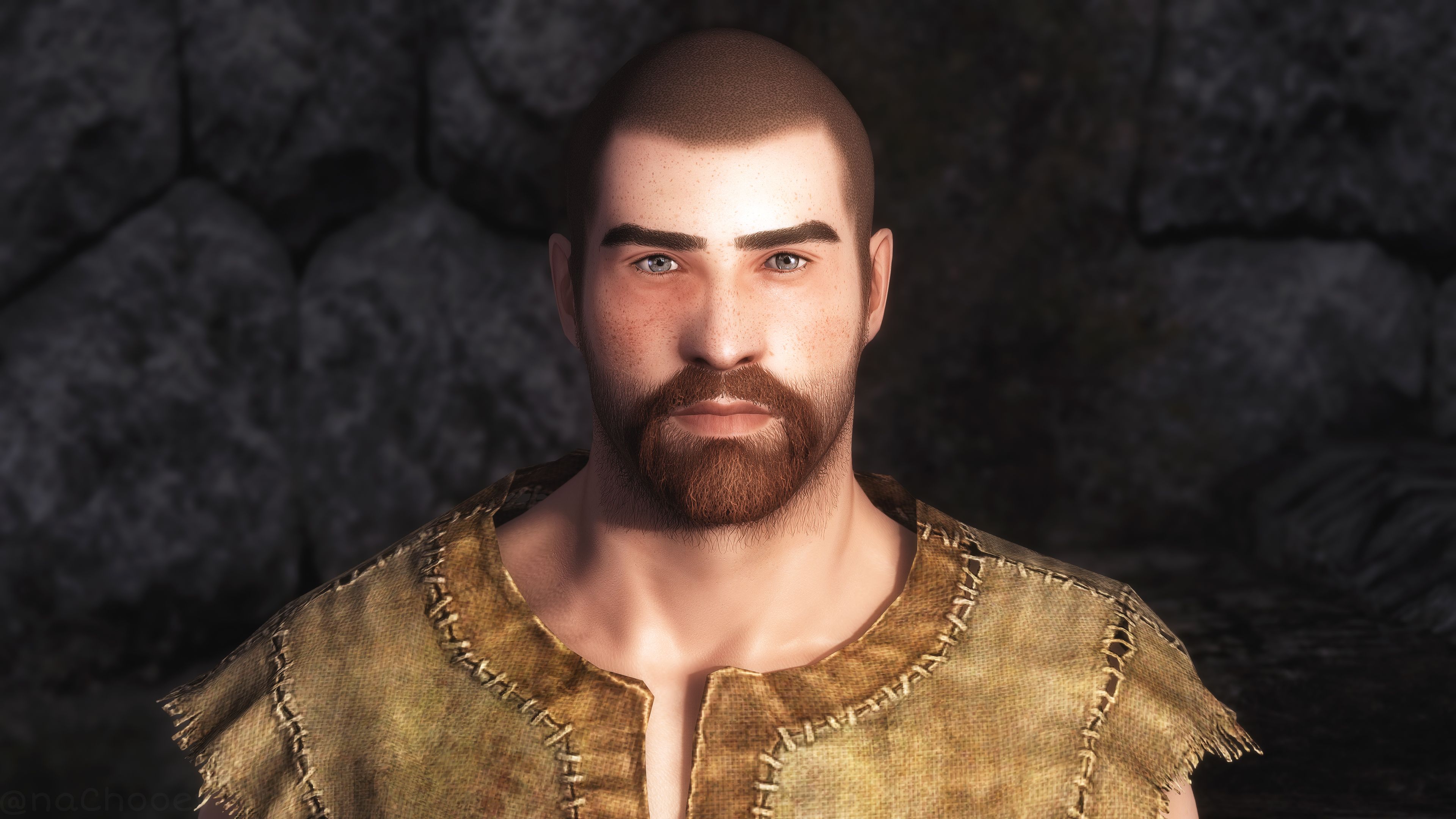 The Art of Beard for High Poly Head (and fix) mod for The Elder Scrolls V: Skyrim Special Edition