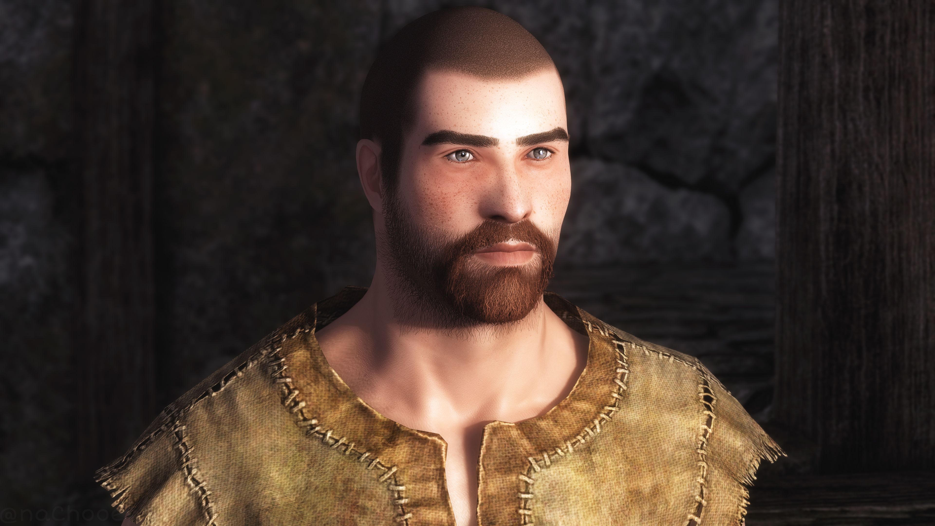 The Art of Beard for High Poly Head (and fix) mod for The Elder Scrolls V: Skyrim Special Edition