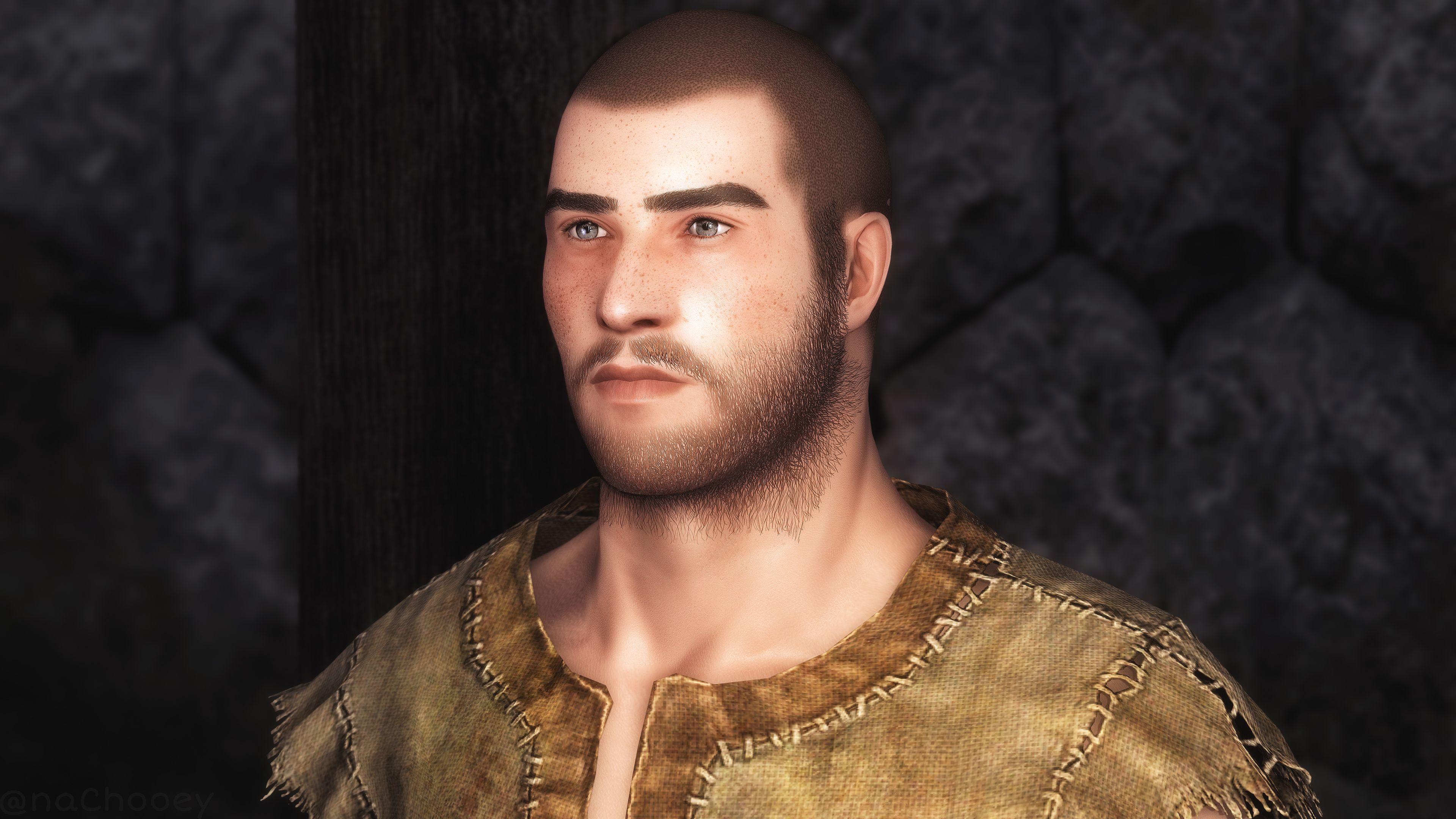 The Art of Beard for High Poly Head (and fix) mod for The Elder Scrolls V: Skyrim Special Edition