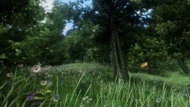 Bevilex' modlist for Oblivion - Graphics - Version Française mod for The Elder Scrolls IV: Oblivion