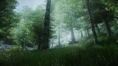 Bevilex' modlist for Oblivion - Graphics - Version Française mod for The Elder Scrolls IV: Oblivion