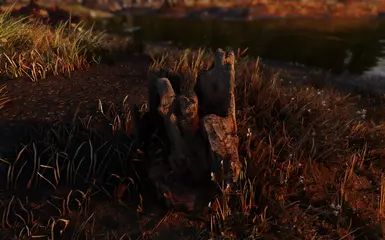 Nature of the Wildlands - Debris and Plants mod for The Elder Scrolls V: Skyrim Special Edition