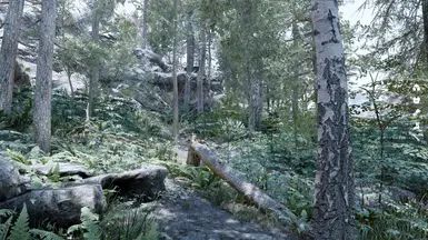 Nature of the Wildlands - Debris and Plants mod for The Elder Scrolls V: Skyrim Special Edition