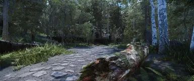 Nature of the Wildlands - Debris and Plants mod for The Elder Scrolls V: Skyrim Special Edition