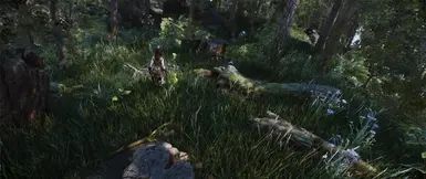 Nature of the Wildlands - Debris and Plants mod for The Elder Scrolls V: Skyrim Special Edition