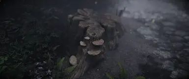 Nature of the Wildlands - Debris and Plants mod for The Elder Scrolls V: Skyrim Special Edition