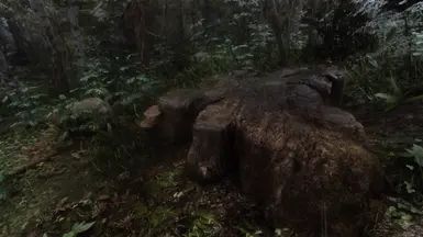 Nature of the Wildlands - Debris and Plants mod for The Elder Scrolls V: Skyrim Special Edition