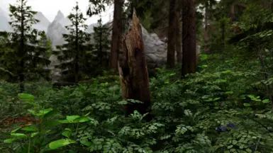 Nature of the Wildlands - Debris and Plants mod for The Elder Scrolls V: Skyrim Special Edition