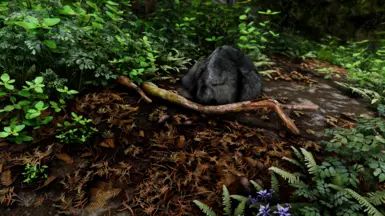 Nature of the Wildlands - Debris and Plants mod for The Elder Scrolls V: Skyrim Special Edition