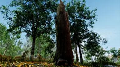 Nature of the Wildlands - Debris and Plants mod for The Elder Scrolls V: Skyrim Special Edition