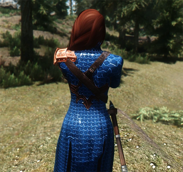 Blood Witch Recolor - Gold and Blue mod for Skyrim