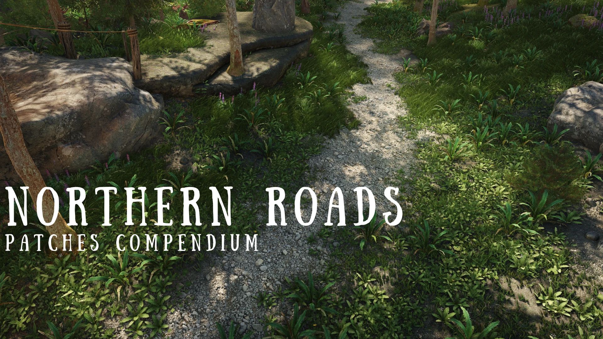 Northern Roads - Patches Compendium - LE mod for Skyrim
