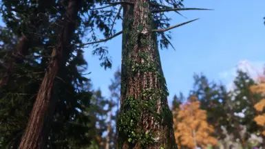 Happy Little Trees - Ivy on Trees (Base Object Swapper) mod for The Elder Scrolls V: Skyrim Special Edition