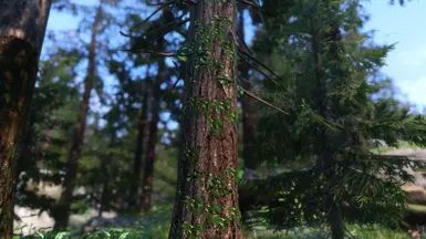 Happy Little Trees - Ivy on Trees (Base Object Swapper) mod for The Elder Scrolls V: Skyrim Special Edition