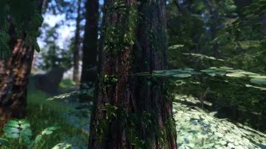 Happy Little Trees - Ivy on Trees (Base Object Swapper) mod for The Elder Scrolls V: Skyrim Special Edition