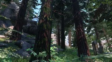 Happy Little Trees - Ivy on Trees (Base Object Swapper) mod for The Elder Scrolls V: Skyrim Special Edition