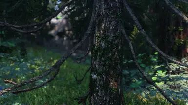 Happy Little Trees - Ivy on Trees (Base Object Swapper) mod for The Elder Scrolls V: Skyrim Special Edition