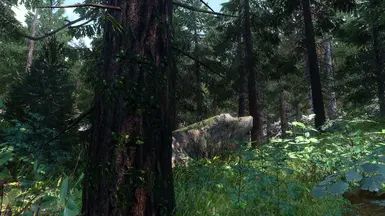 Happy Little Trees - Ivy on Trees (Base Object Swapper) mod for The Elder Scrolls V: Skyrim Special Edition