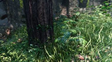 Happy Little Trees - Ivy on Trees (Base Object Swapper) mod for The Elder Scrolls V: Skyrim Special Edition