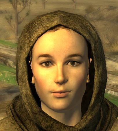 Facial Asymmetry Distributor (FAD) mod for Fallout: New Vegas