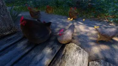 Mihail Chicken Variant (Color - Weight - Hanging) - SPID-BOS mod for The Elder Scrolls V: Skyrim Special Edition