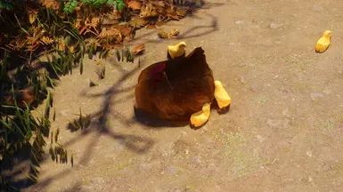 Mihail Chicken Variant (Color - Weight - Hanging) - SPID-BOS mod for The Elder Scrolls V: Skyrim Special Edition