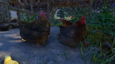 Mihail Chicken Variant (Color - Weight - Hanging) - SPID-BOS mod for The Elder Scrolls V: Skyrim Special Edition