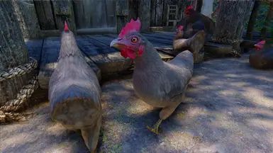 Mihail Chicken Variant (Color - Weight - Hanging) - SPID-BOS mod for The Elder Scrolls V: Skyrim Special Edition