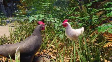 Mihail Chicken Variant (Color - Weight - Hanging) - SPID-BOS mod for The Elder Scrolls V: Skyrim Special Edition