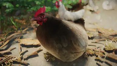 Mihail Chicken Variant (Color - Weight - Hanging) - SPID-BOS mod for The Elder Scrolls V: Skyrim Special Edition