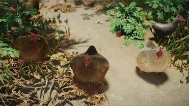 Mihail Chicken Variant (Color - Weight - Hanging) - SPID-BOS mod for The Elder Scrolls V: Skyrim Special Edition