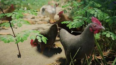 Mihail Chicken Variant (Color - Weight - Hanging) - SPID-BOS mod for The Elder Scrolls V: Skyrim Special Edition