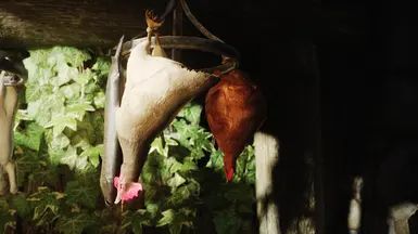 Mihail Chicken Variant (Color - Weight - Hanging) - SPID-BOS mod for The Elder Scrolls V: Skyrim Special Edition