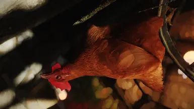 Mihail Chicken Variant (Color - Weight - Hanging) - SPID-BOS mod for The Elder Scrolls V: Skyrim Special Edition
