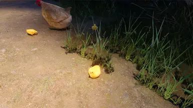 Mihail Chicken Variant (Color - Weight - Hanging) - SPID-BOS mod for The Elder Scrolls V: Skyrim Special Edition