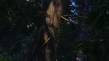 Fabled Forests - Ivy on Trees mod for The Elder Scrolls V: Skyrim Special Edition