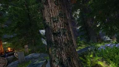 Fabled Forests - Ivy on Trees mod for The Elder Scrolls V: Skyrim Special Edition