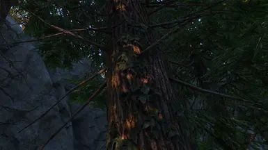 Fabled Forests - Ivy on Trees mod for The Elder Scrolls V: Skyrim Special Edition