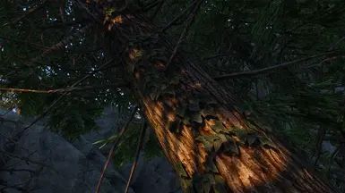 Fabled Forests - Ivy on Trees mod for The Elder Scrolls V: Skyrim Special Edition