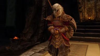 Dro'Hroarr The Norse God - High Poly Character Preset mod for The Elder Scrolls V: Skyrim Special Edition