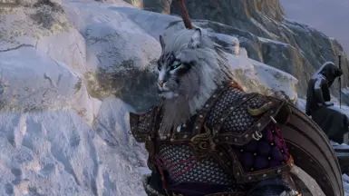 Dro'Hroarr The Norse God - High Poly Character Preset mod for The Elder Scrolls V: Skyrim Special Edition