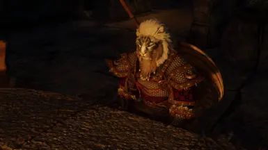 Dro'Hroarr The Norse God - High Poly Character Preset mod for The Elder Scrolls V: Skyrim Special Edition