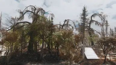 M.O.I.S.T. - Massive Outstandingly Insane Swamp Tree mod for The Elder Scrolls V: Skyrim Special Edition