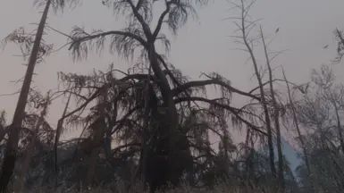 M.O.I.S.T. - Massive Outstandingly Insane Swamp Tree mod for The Elder Scrolls V: Skyrim Special Edition