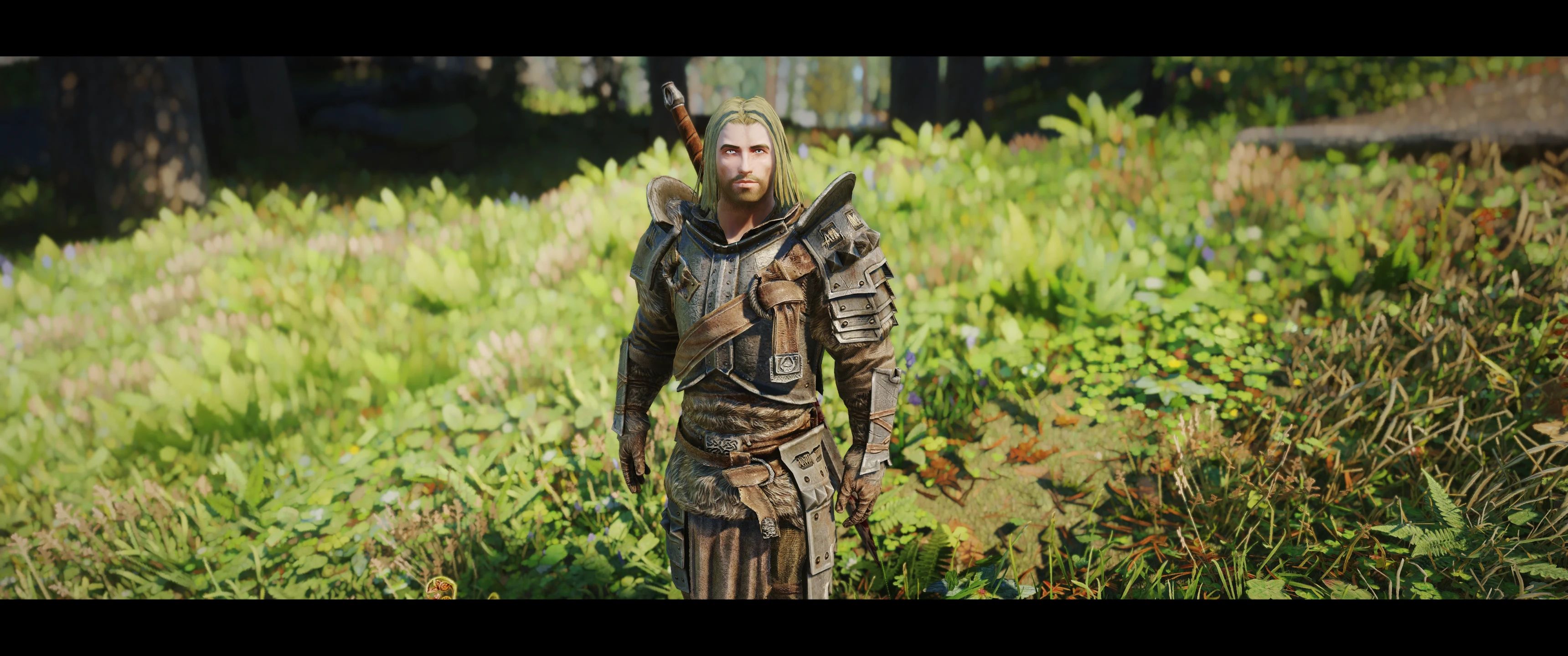 Sleeves of Skyrim mod for The Elder Scrolls V: Skyrim Special Edition