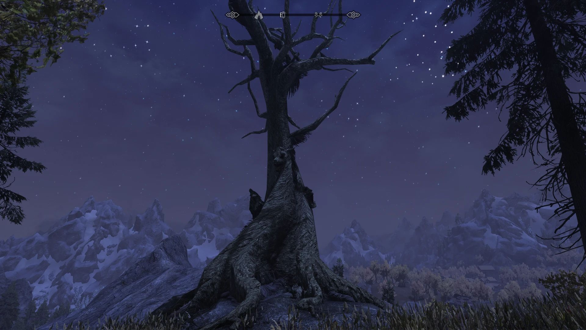 Bark and Bite - Witcher Inspired Quest mod for The Elder Scrolls V: Skyrim Special Edition