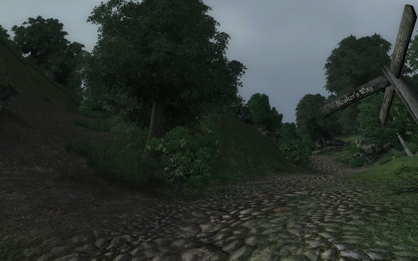 Roads of Cyrodiil mod for The Elder Scrolls IV: Oblivion